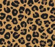 Captura de pantalla 2025-11-07 144755.png